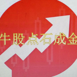 点石成金——散户新手导师